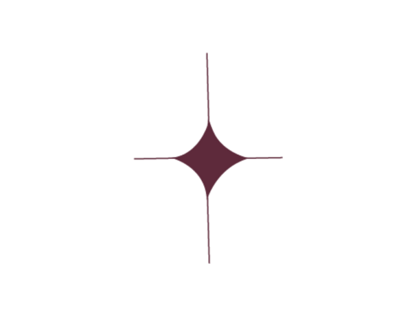 Vela Studio